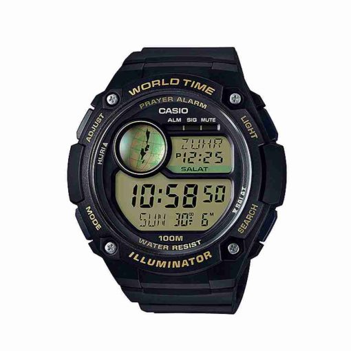 casio cpa