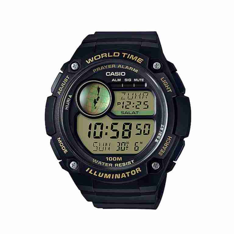 casio cpa