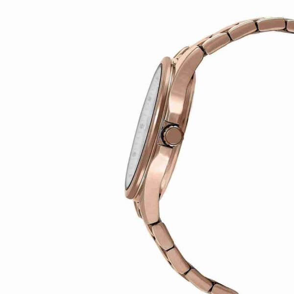 Shop for Casio SHE-3806PG-9AUDR Stylish Women's Analog Wrist Watch - Image 2