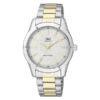 Q&Q Q876J401Y two tone stainless steel chain white analog dial men's watch